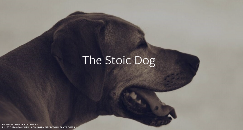 Empire Times Client Feature: The Stoic Dog & Origin K9